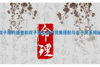 双子座的爸爸和双 🗿 子座女儿的完美搭 🌺 配与亲子关系揭秘