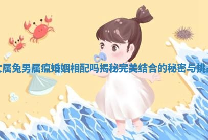 女属兔男属癙婚姻相配吗揭秘完美结合的秘密与挑战