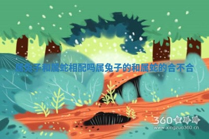 属兔子 🦡 和属 🥘 蛇相配吗_属兔子的和属蛇的合不合