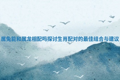 属兔能和属龙相配吗探讨 🌏 生肖配对的最佳组合与 🚞 建议