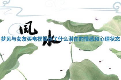 梦见与女友买 🔊 电视揭示了什么潜在的情感和心理 📋 状态