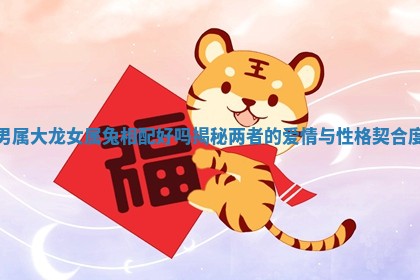 男属大龙 🔀 女属兔相配好吗揭秘两者的爱 🆒 情与性格契合度